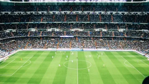 “求教达人：卢与鹏鹏干货分享谁更胜一筹？期待解答及17条精彩互动。”